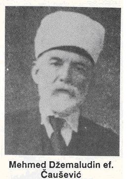 Mehmed Dzemaludin Causevic